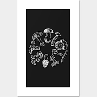 mushrooms Posters and Art